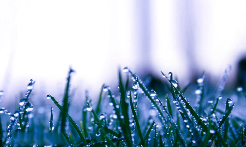 生态审计员 推转发展观:星空体育app下载(图2) 星空体育APP网站