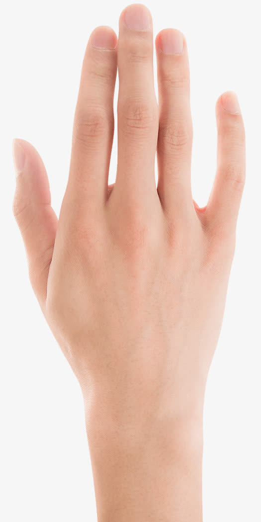 星空体育APP网站