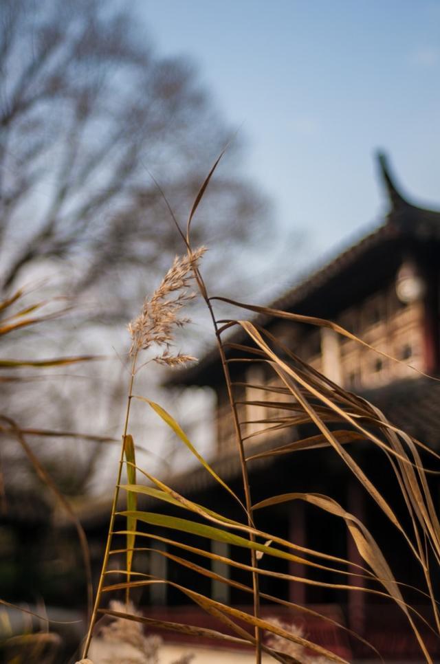 财富效应分流未改变保险保障角色_星空体育APP网站(图3) 星空体育app下载