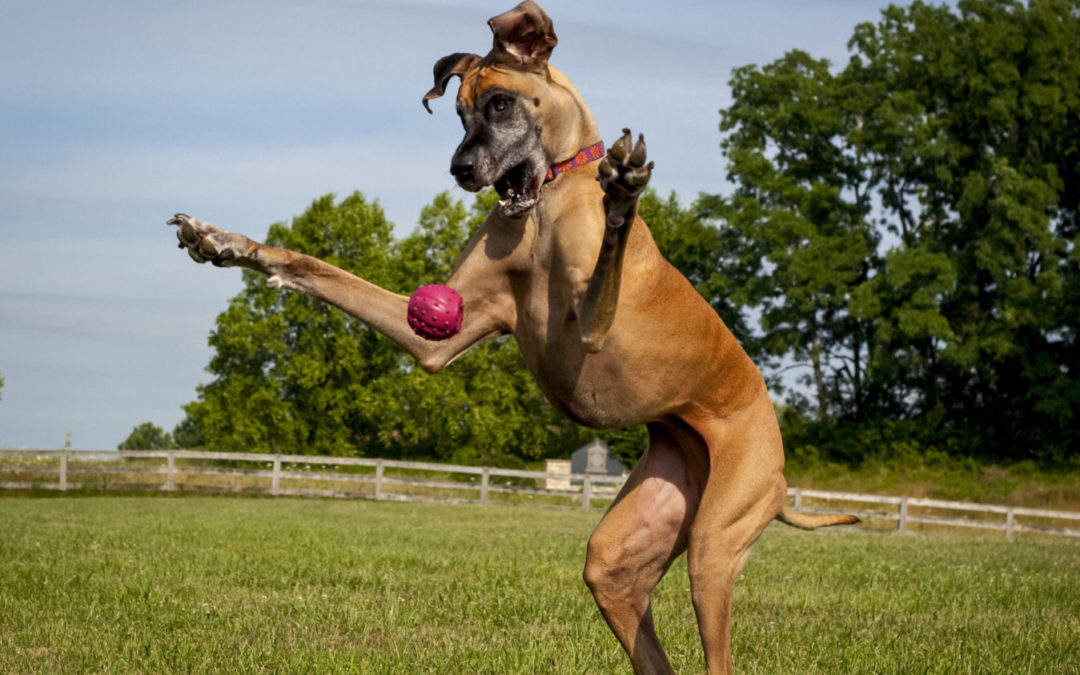 星空体育APP_旅游巨头托马斯 库克破产 浅析近年全球旅游行业发展现状