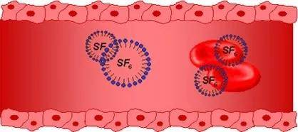 “星空体育APP网站”孔令秋 新成中医组专家:超声造影检查的基本观点(图7)