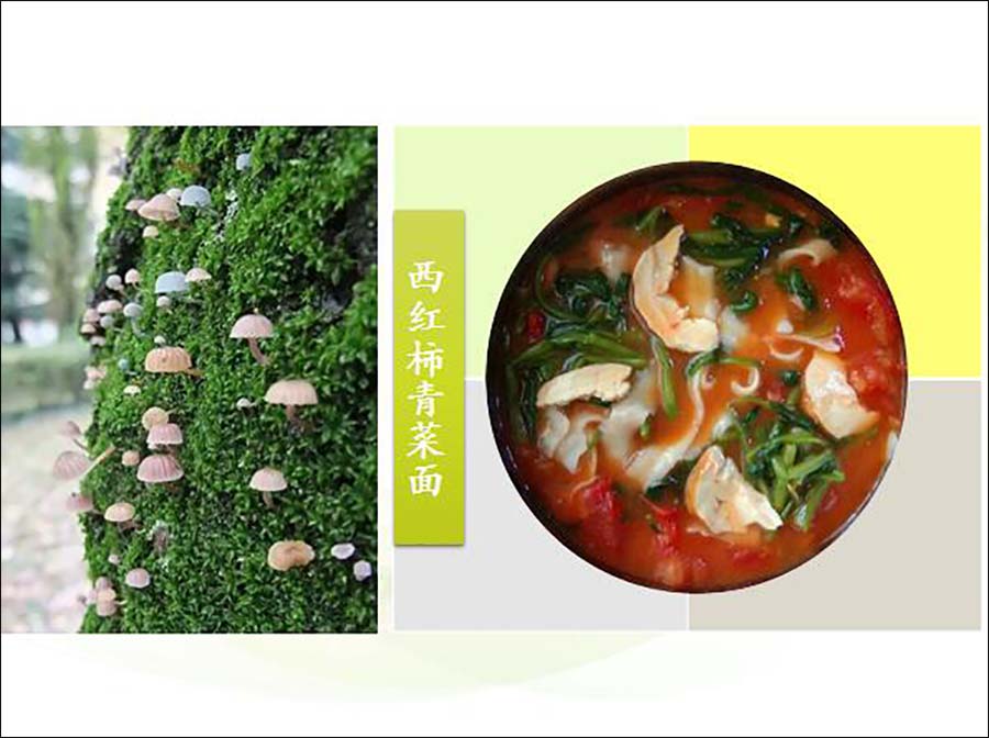 穿山甲“中间宿主”身份曝光，新型冠状病毒药物研发曙光乍现【星空体育APP】