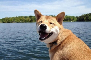 星空体育APP|
曲沃:部门齐发力 全力把突出情况问题“清零”到底(图2) 星空体育APP网站