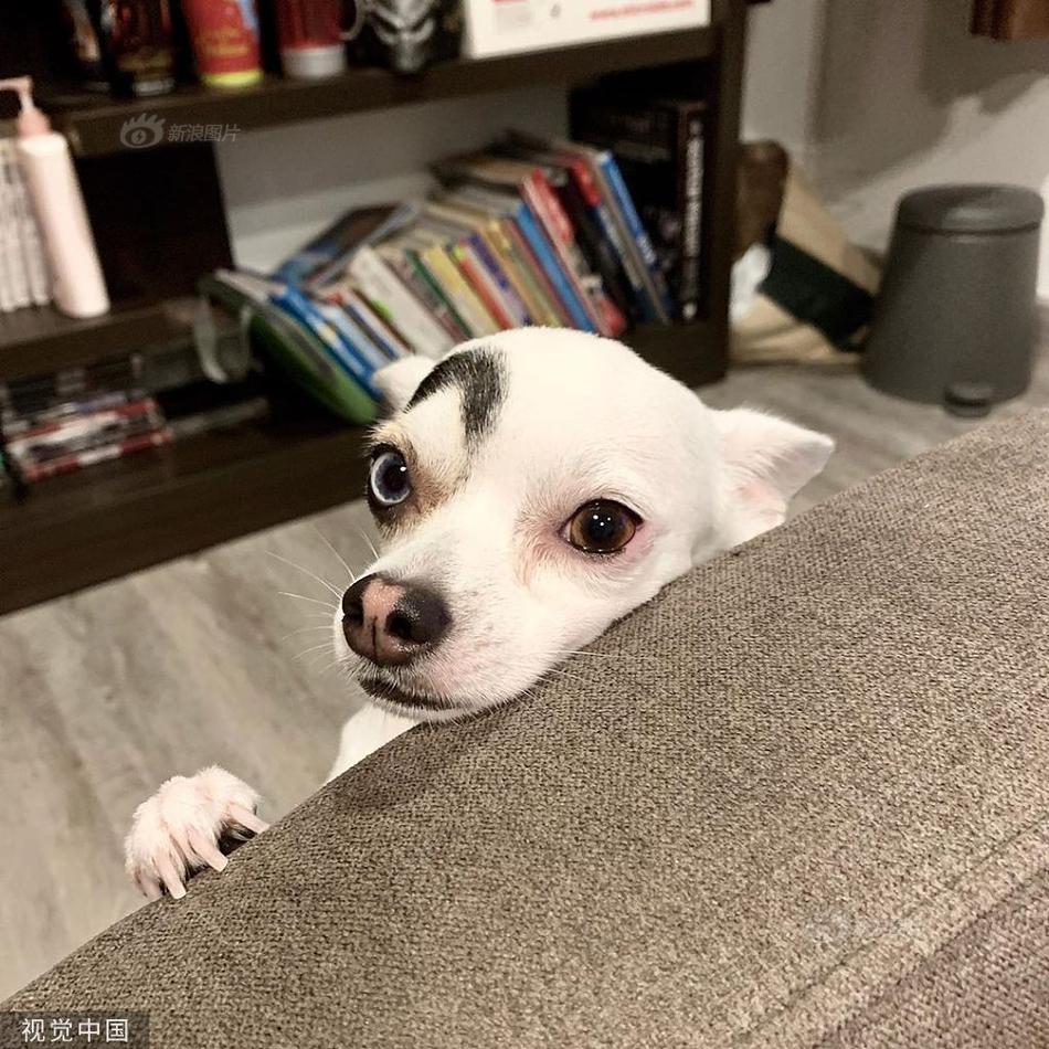 【星空体育app下载】儿童医保最高可报销17万