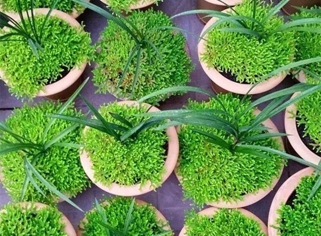 治污6年,中国空气好了吗“星空体育app下载”(图3) 星空体育app下载