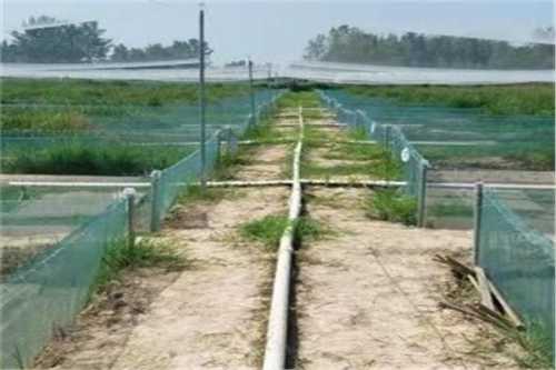 星空体育APP网站