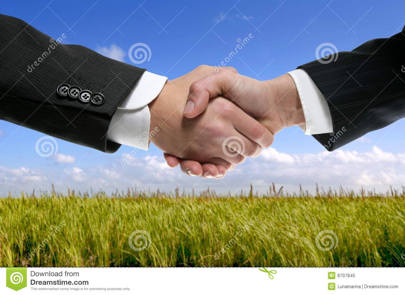 
黑龙江木兰:走访企业 征求服务经济意见建议_星空体育APP