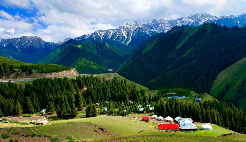 星空体育APP网站