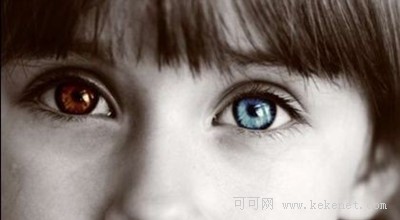 星空体育app下载