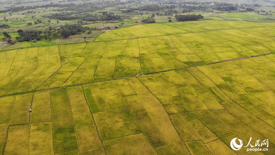 星空体育app下载