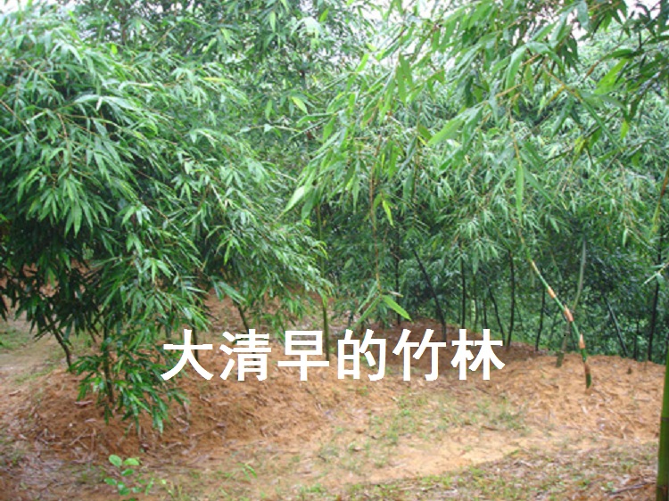 星空体育APP网站