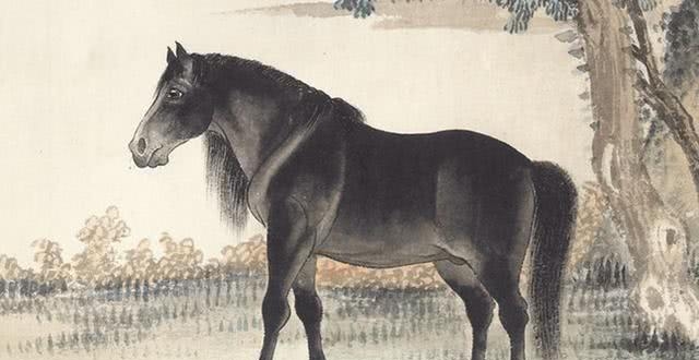 【培训】天台推进导游继续培训 提升导游服务水平|星空体育app下载