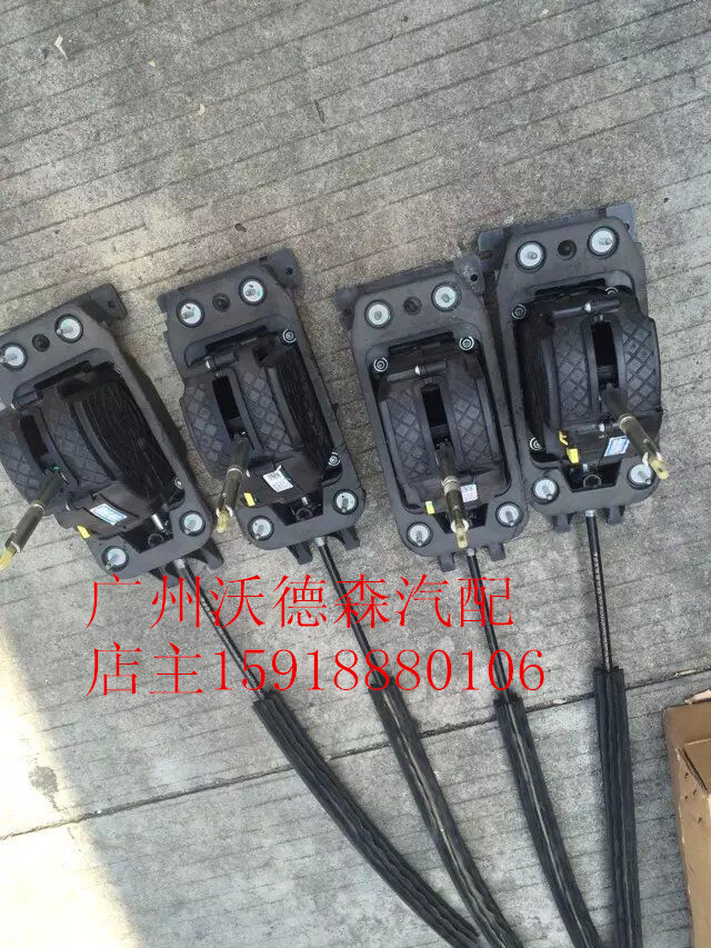 白华“星空体育APP”