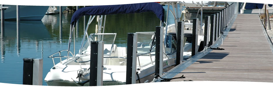 规范收支境前台咨询 提升群众办证满足度‘星空体育app下载’