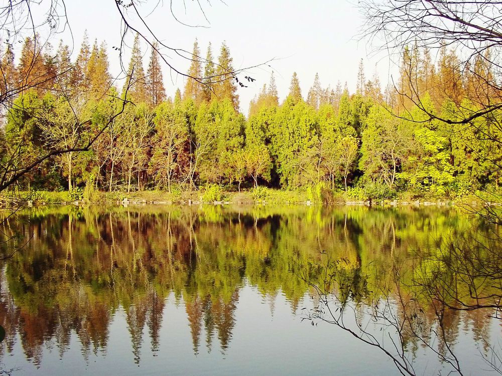 星空体育app下载