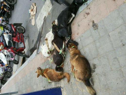 星空体育app下载