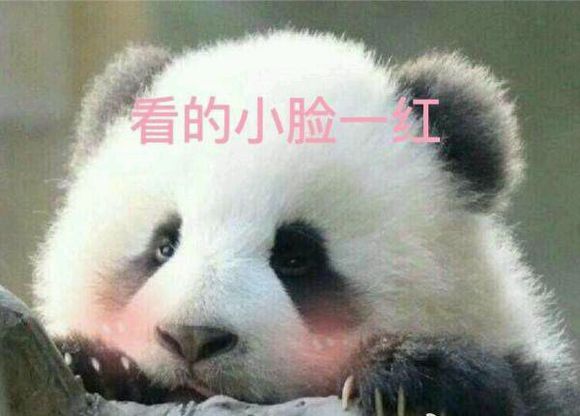 建设美丽中国——习近平新时代中国特色社会主义思想学习纲要“星空体育APP”