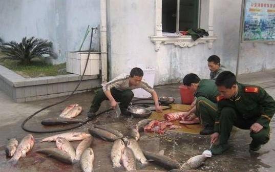 ‘星空体育APP网站’风电:刀尖上的舞者(图4) 星空体育app下载