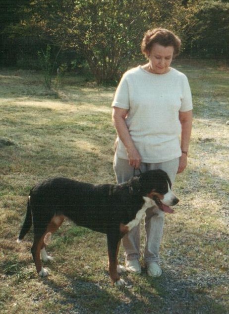 星空体育APP网站_
微服务连载(七)推荐:最火热的开源微服务框架(图2) 星空体育app下载