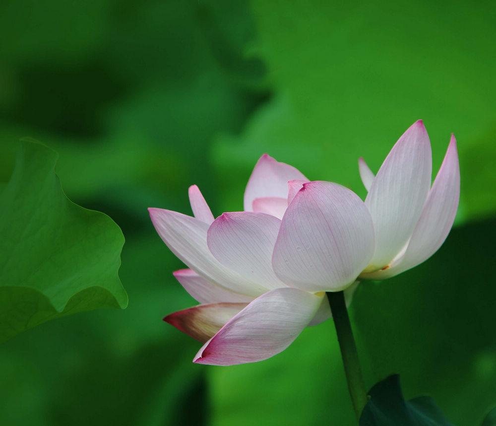 星空体育APP：
『看法』我国服务外包将迎来黄金机缘期：数字商业潜力庞大