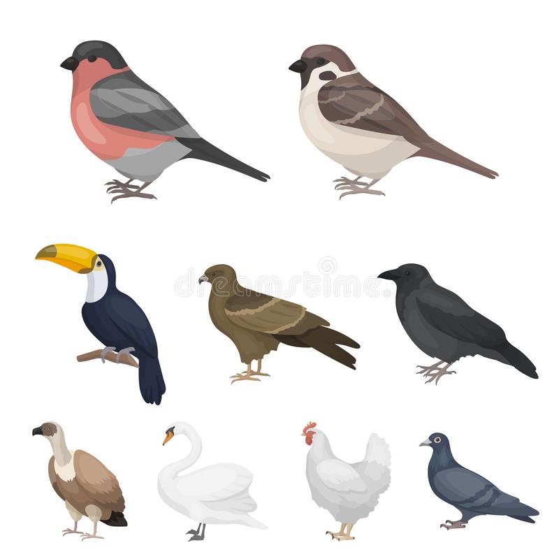 儒溪茶业：打造红土地上的绿色事业|星空体育app下载