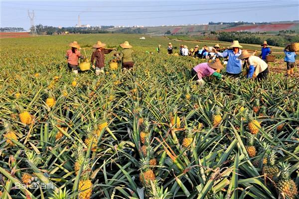 星空体育APP网站-九江口作