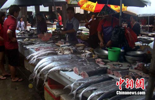 星空体育APP网站